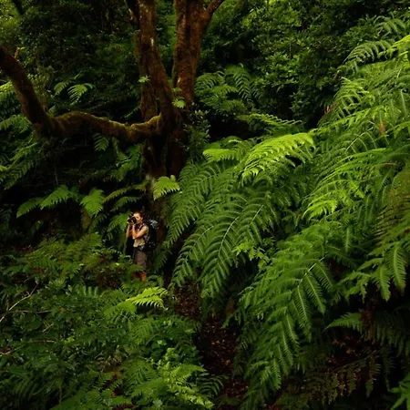 Sagittarius Dom wakacyjny Arico Viejo