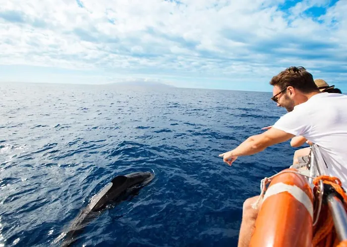 Sagittarius بيت للعطل