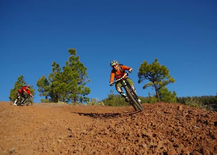 Sagittarius Arico Viejo