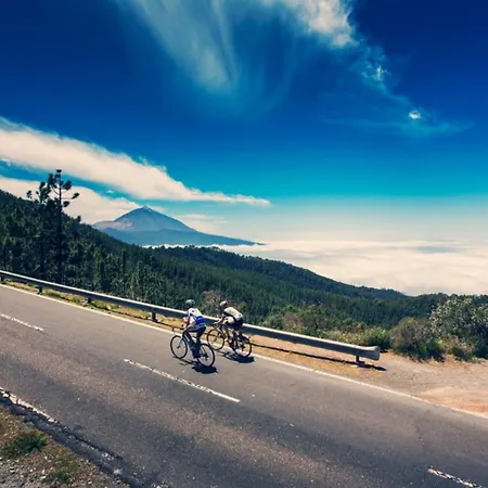 Sagittarius بيت للعطل