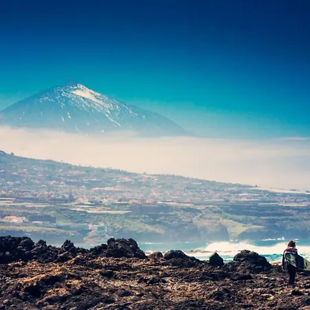 Sagittarius Arico Viejo