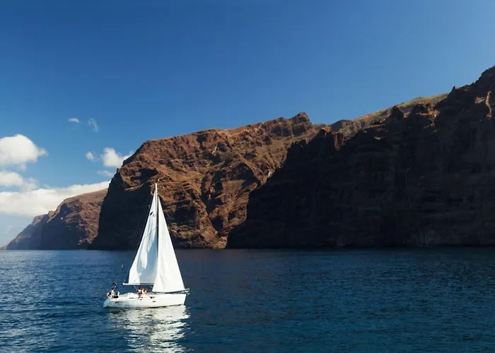 別荘 Sagittarius Arico Viejo