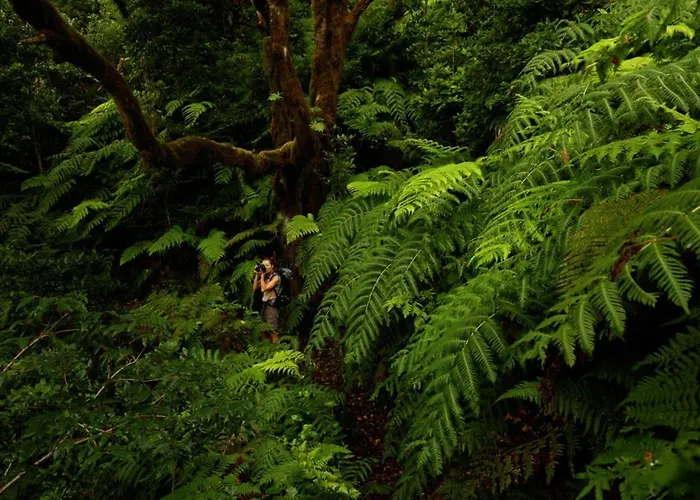 Sagittarius 別荘 Arico Viejo