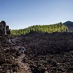 Sagittarius Дом отдыха
