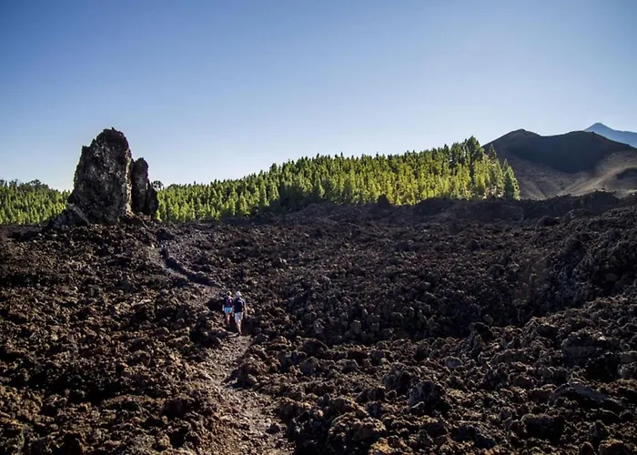 Sagittarius Nyaraló